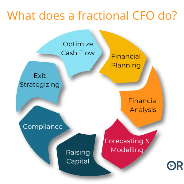 What does a fractional CFO do infographic listing services offered by a fractional CFO