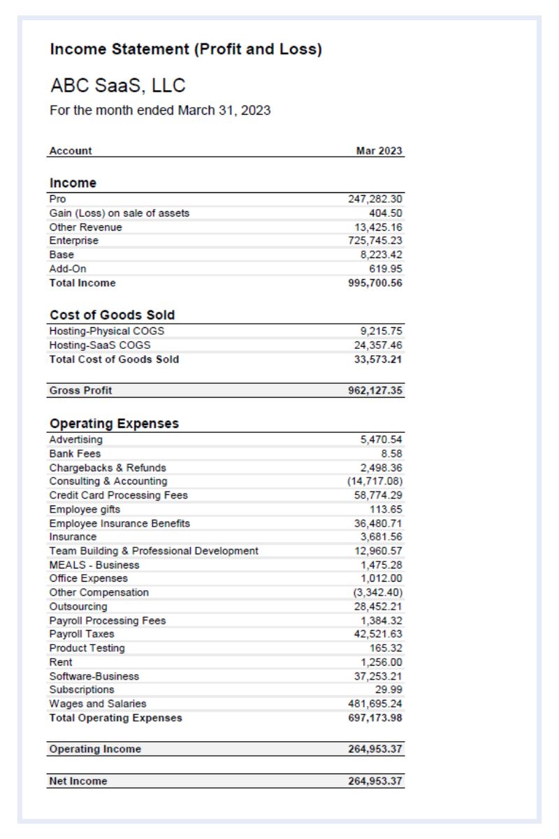 example income statement or profit & loss statement of a SaaS company 