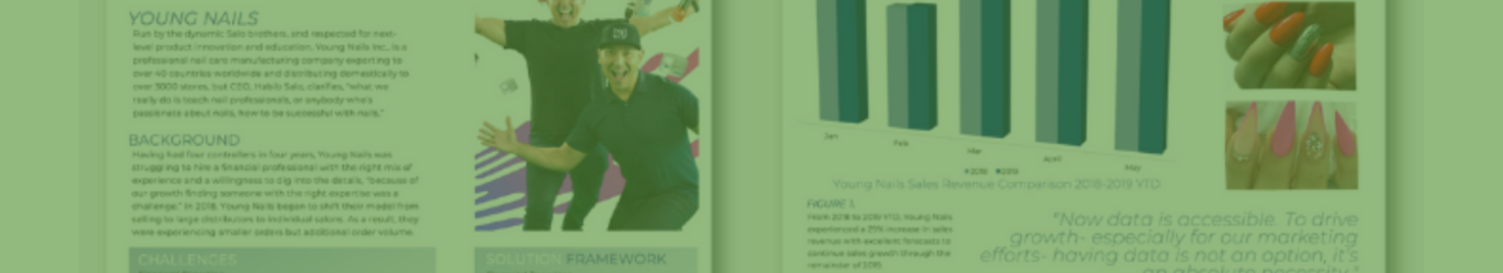 Young Nails NetSuite Case Study